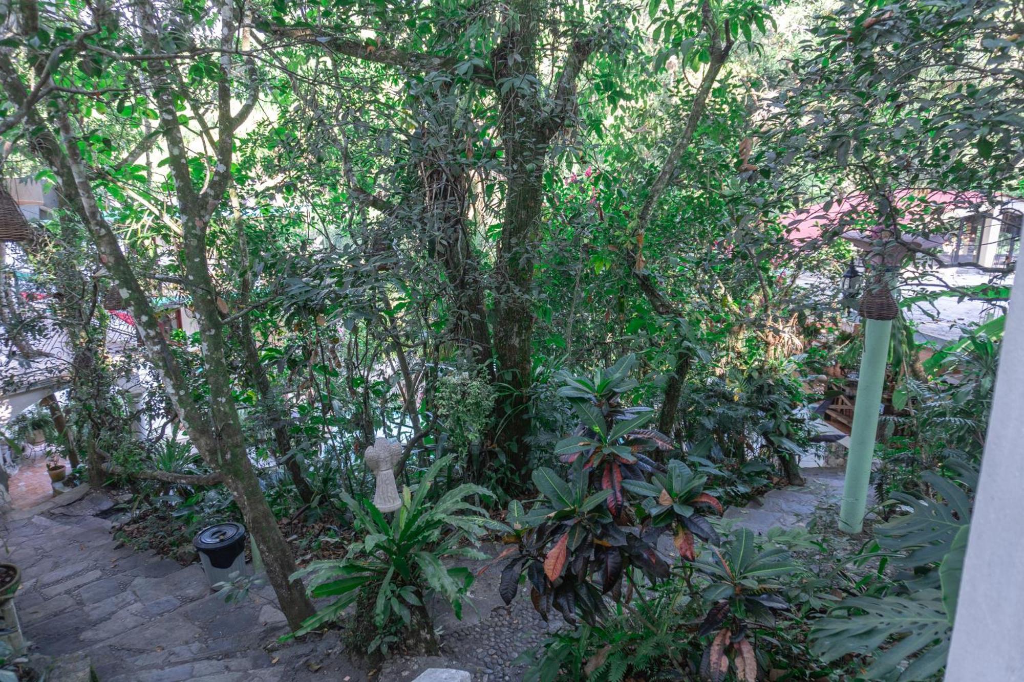 Hotel Paraiso Encantado Xilitla ภายนอก รูปภาพ